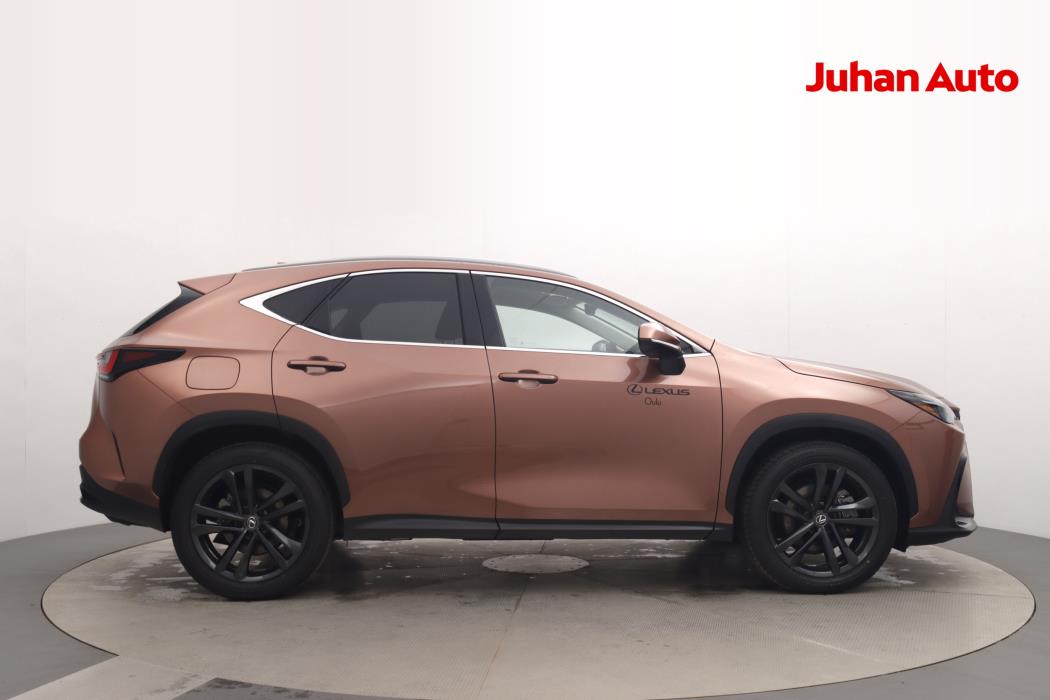 Lexus NX 2024