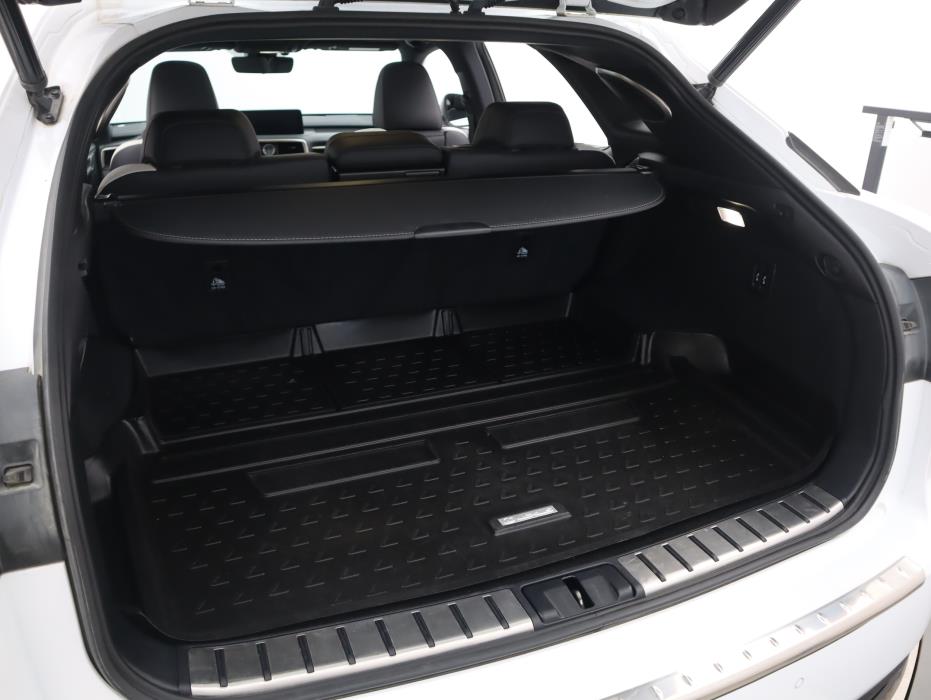LEXUS RX 2021