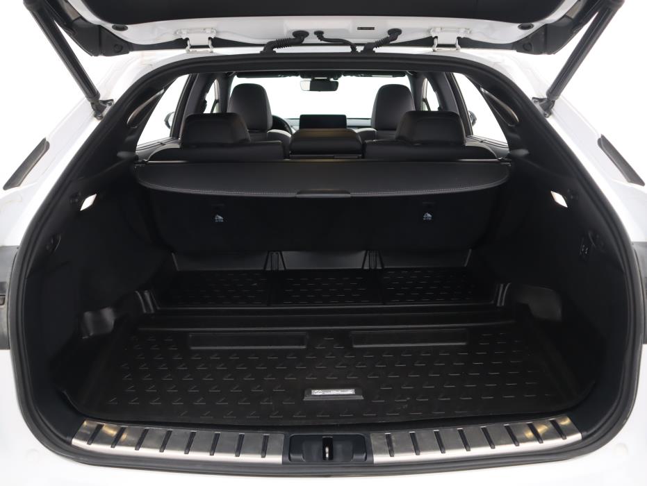 LEXUS RX 2021