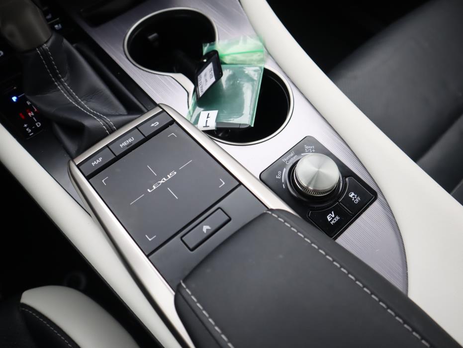 LEXUS RX 2021