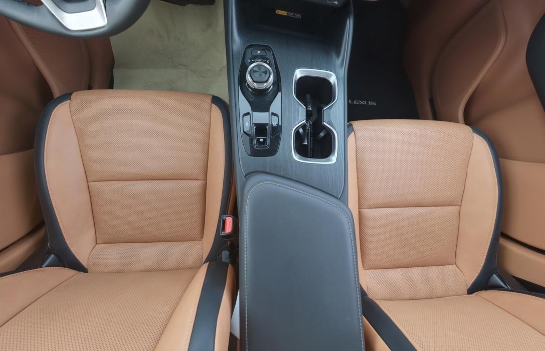 LEXUS RZ 2023