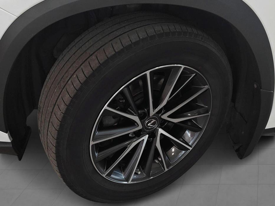 LEXUS NX 2022