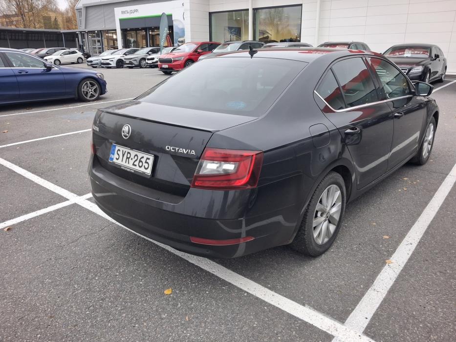 SKODA OCTAVIA 2019