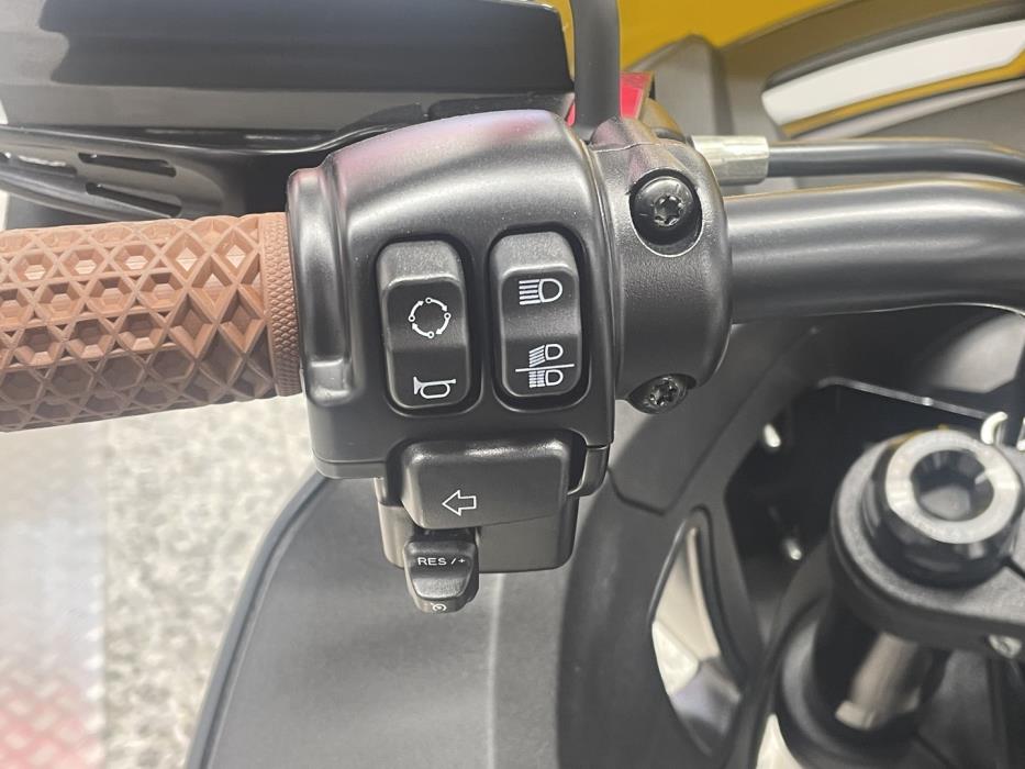 HARLEY-DAVIDSON SOFTAIL 2022