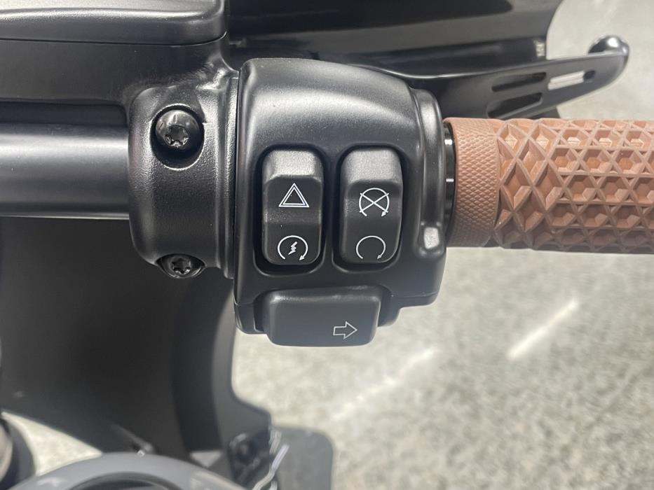 HARLEY-DAVIDSON SOFTAIL 2022