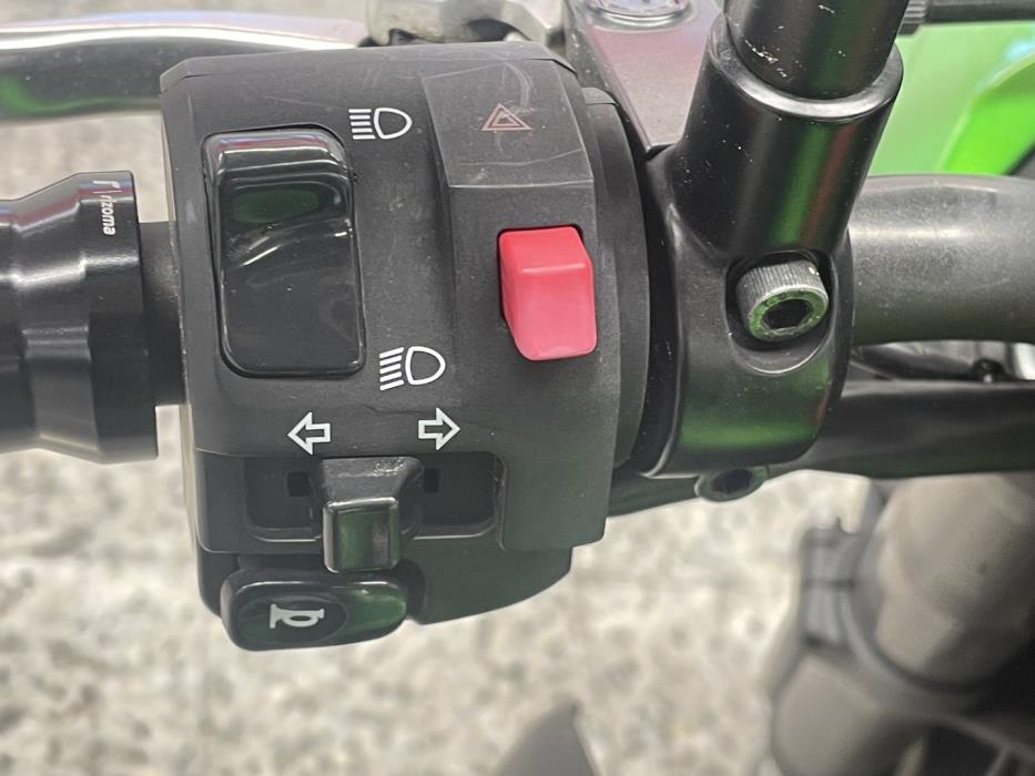 KAWASAKI Z 2019