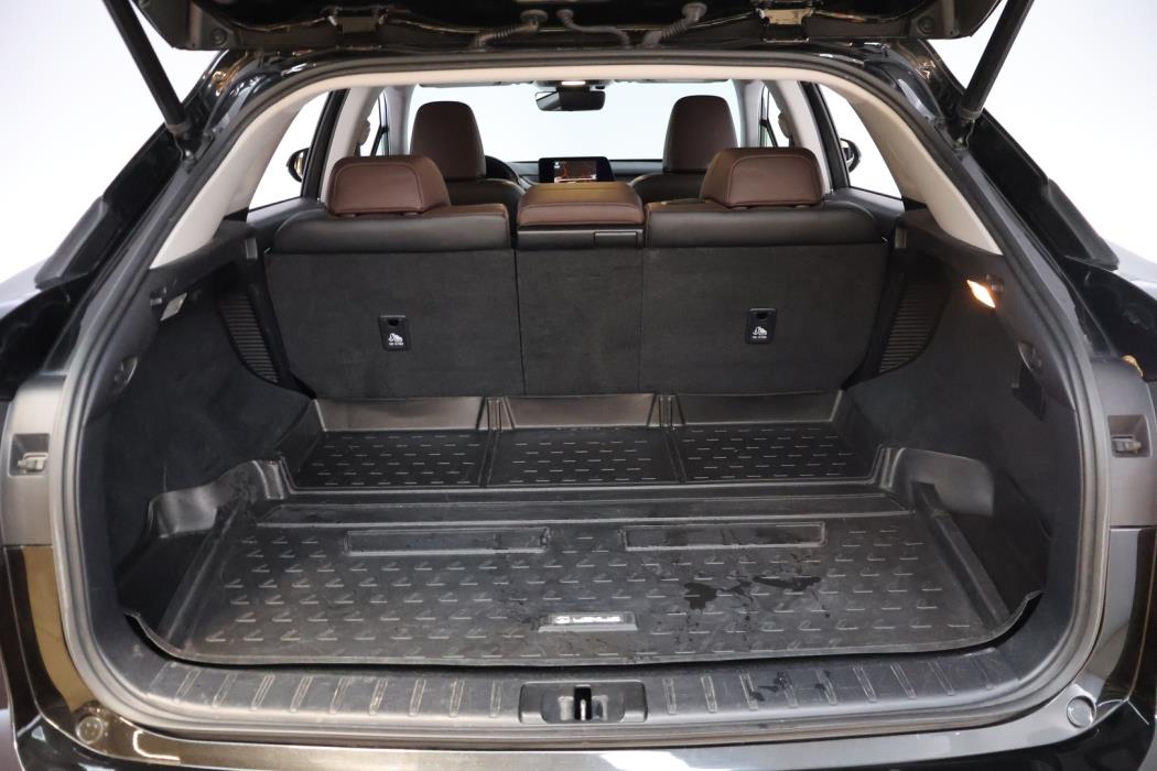 LEXUS RX 2018