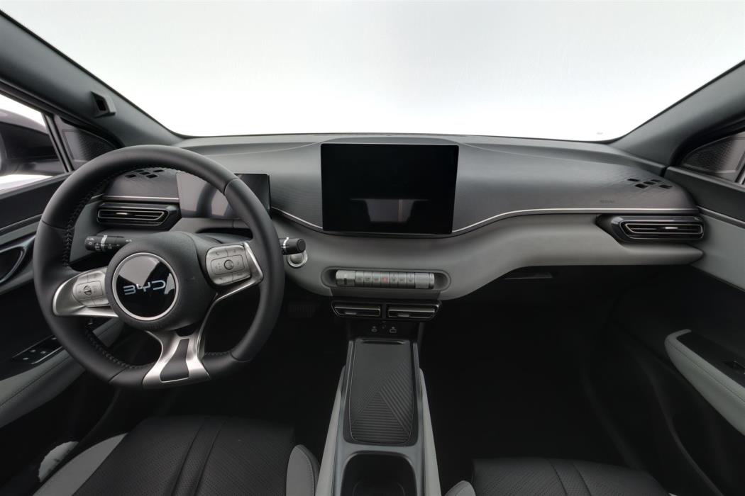 BYD Dolphin Surf 2025