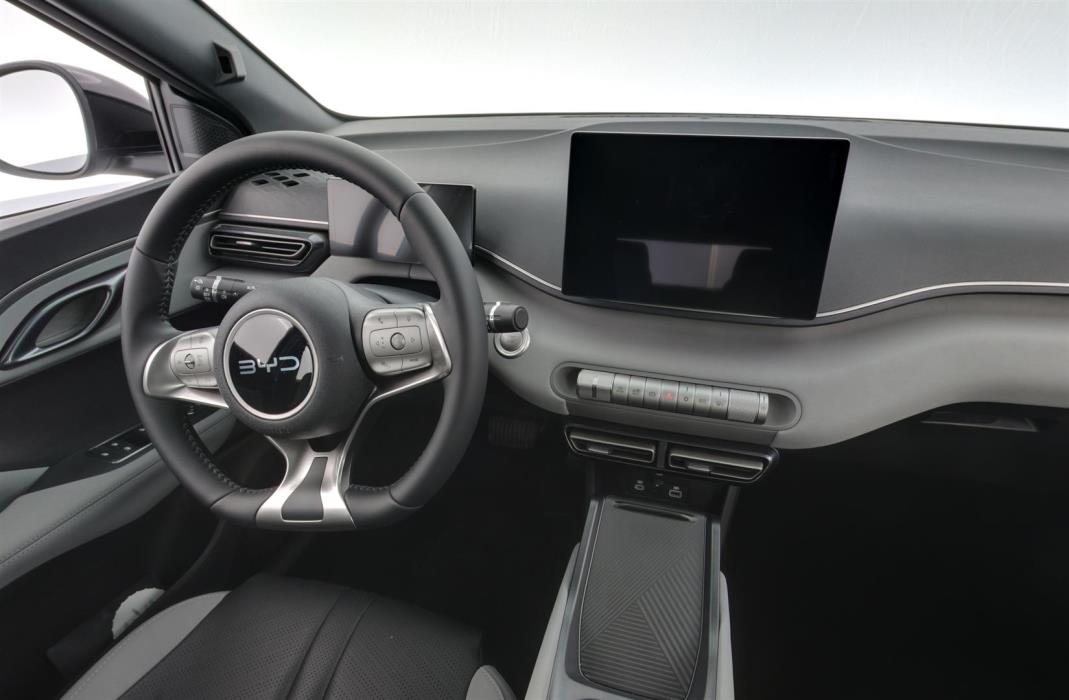 BYD Dolphin Surf 2025