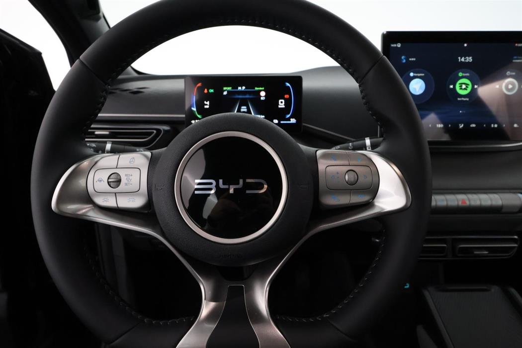 BYD Dolphin Surf 2025