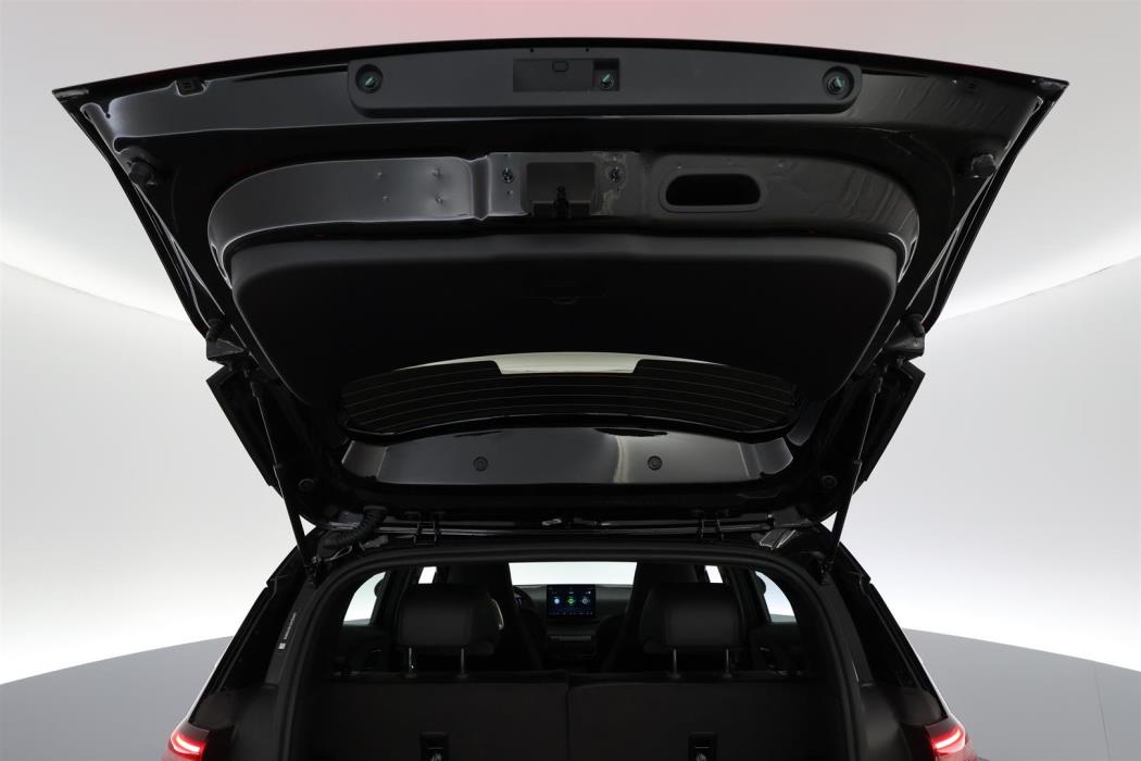 BYD Dolphin Surf 2025