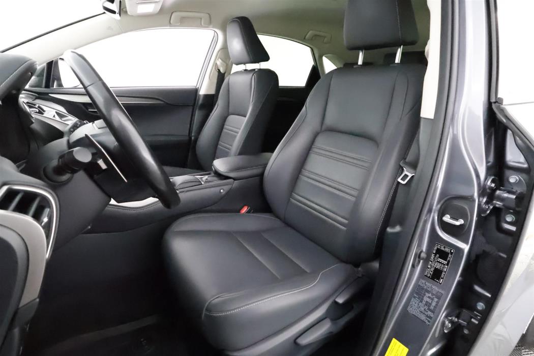 Lexus NX 2020