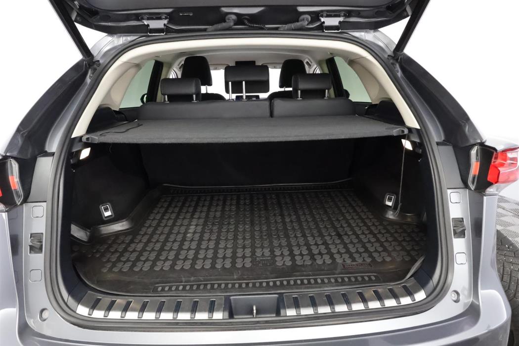 Lexus NX 2020