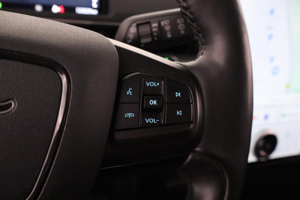 Ford Mustang Mach-E 2021