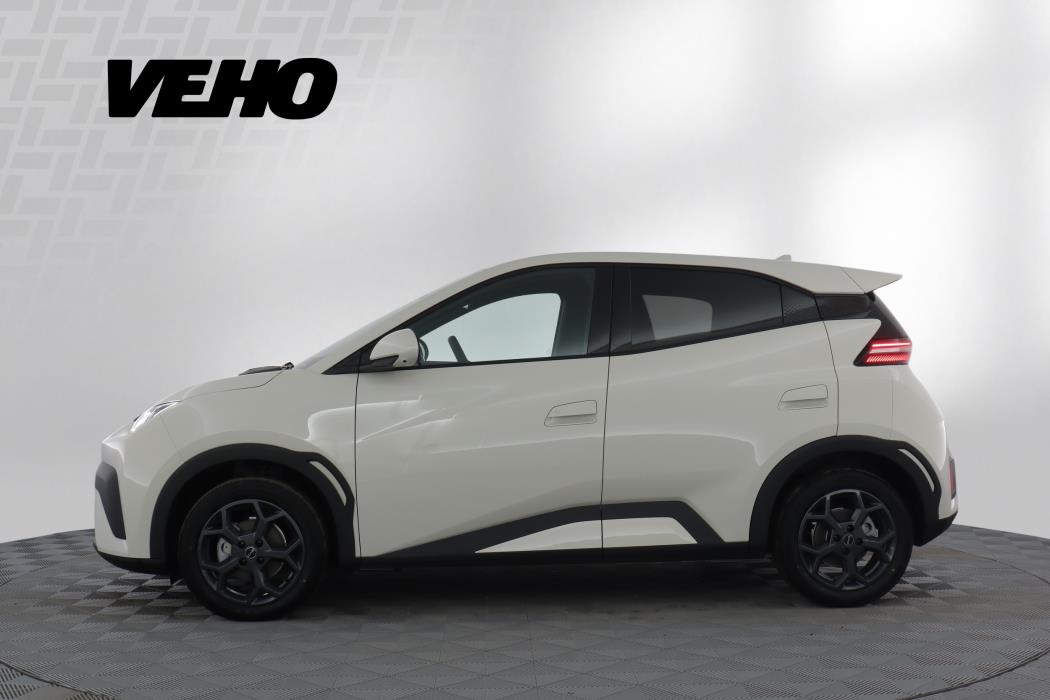 BYD Dolphin Surf 2026