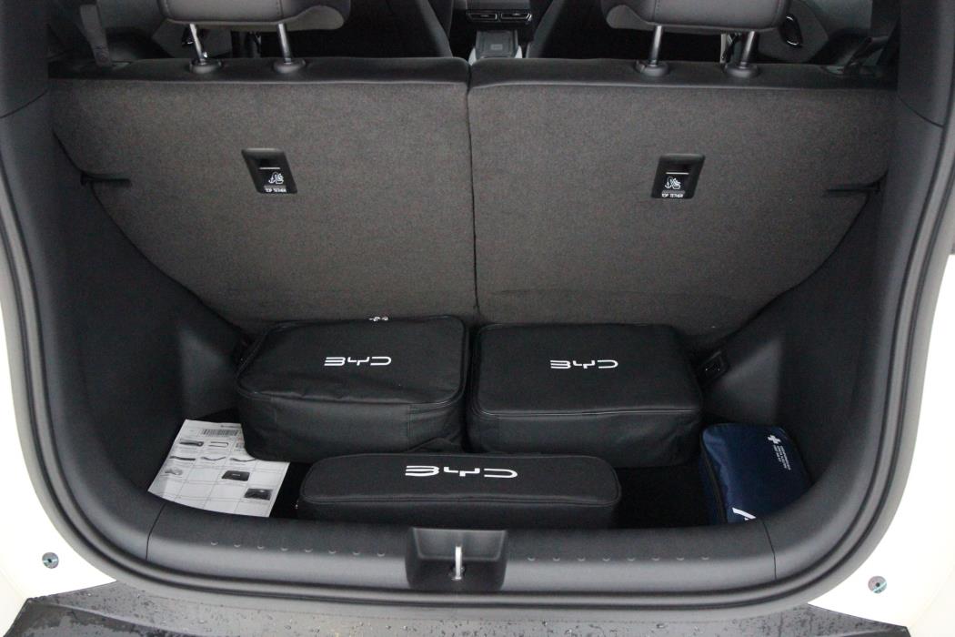 BYD Dolphin Surf 2026