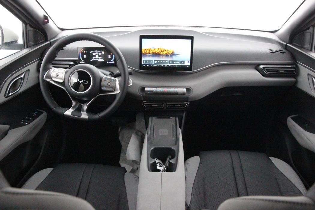 BYD Dolphin Surf 2026