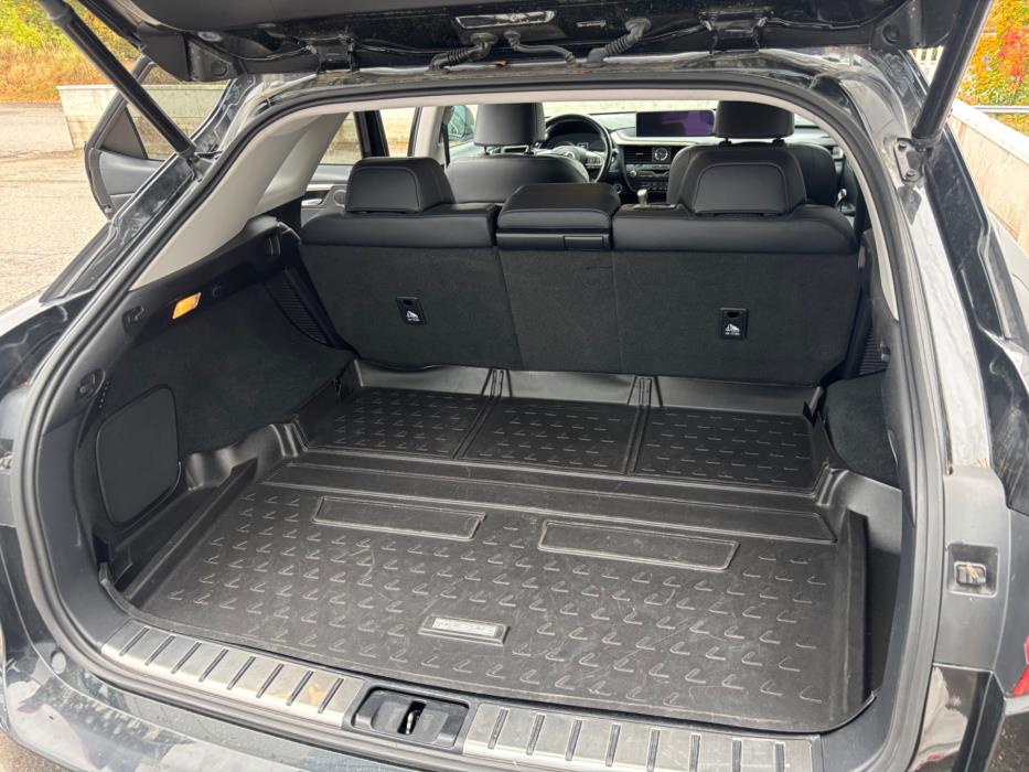 Lexus RX 2019