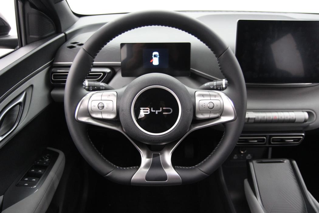 BYD Dolphin Surf 2025