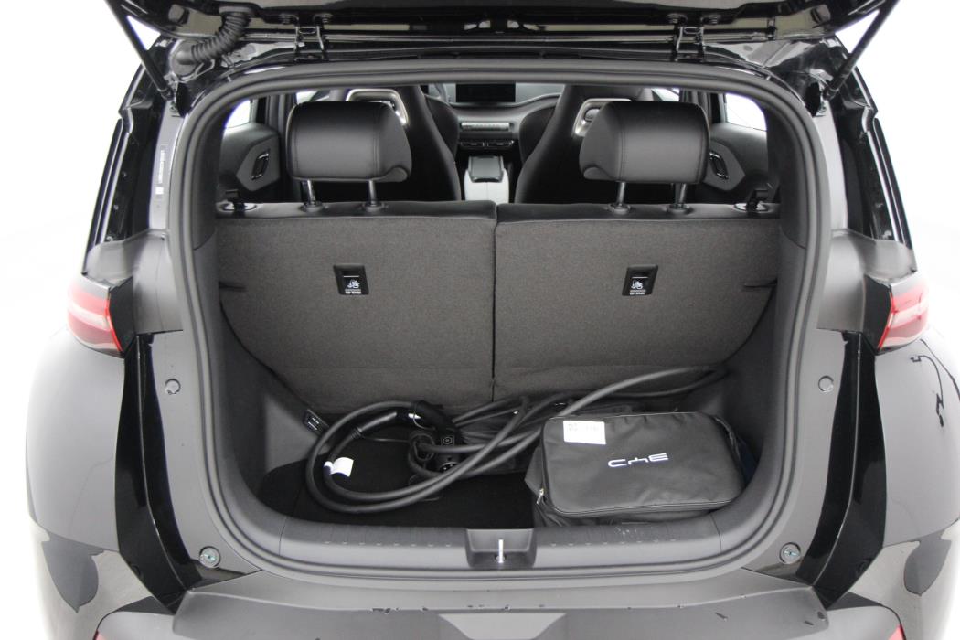 BYD Dolphin Surf 2025