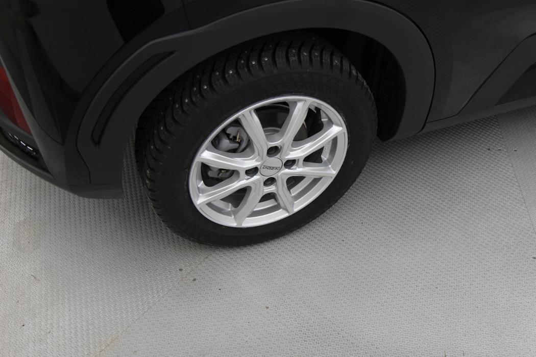 BYD Dolphin Surf 2025