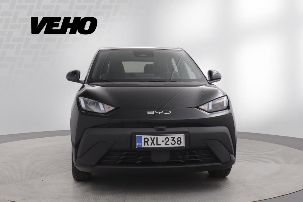 BYD Dolphin Surf 2025