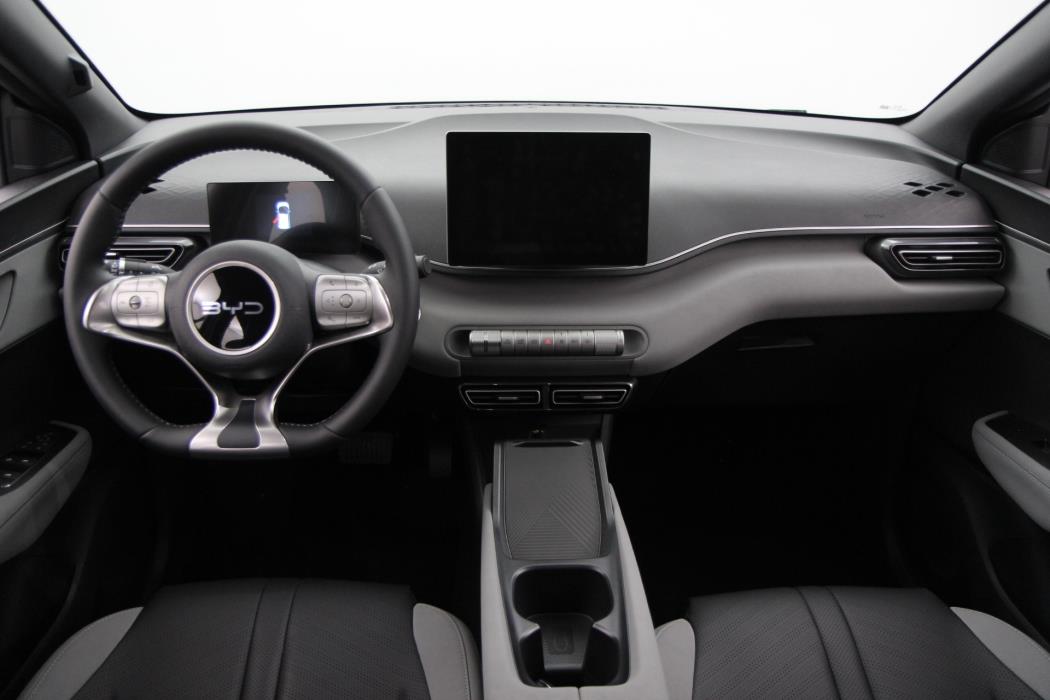 BYD Dolphin Surf 2025