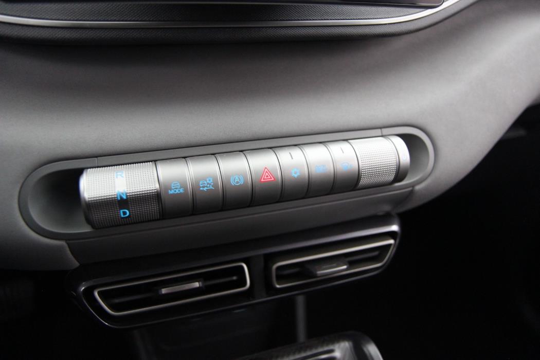 BYD Dolphin Surf 2025