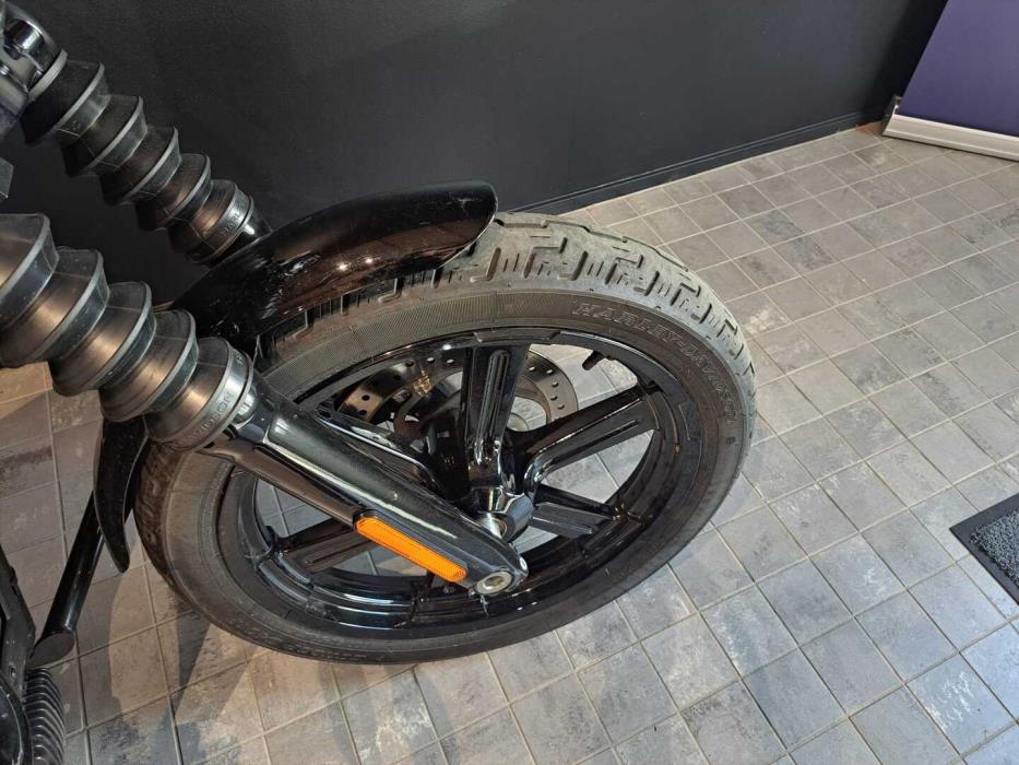 HARLEY-DAVIDSON Softail 2022