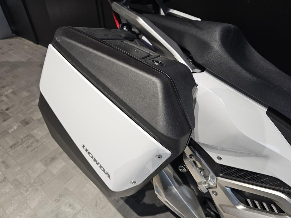HONDA Forza 2024
