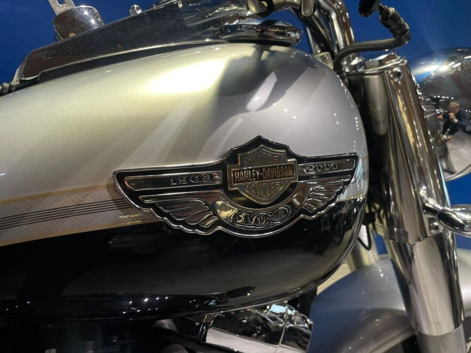 HARLEY-DAVIDSON Softail 2003