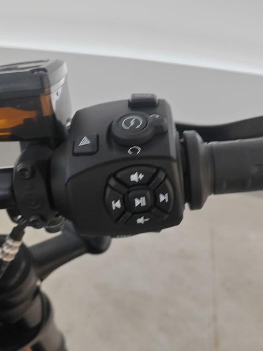 HARLEY-DAVIDSON SPORTSTER 2022