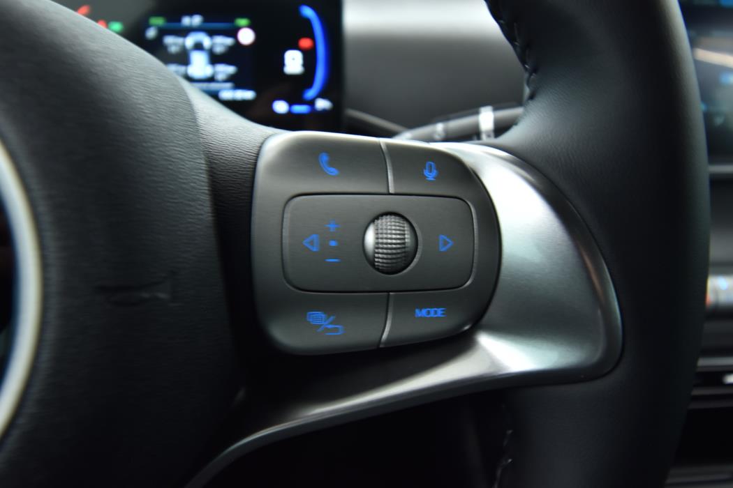 BYD Dolphin Surf 2026