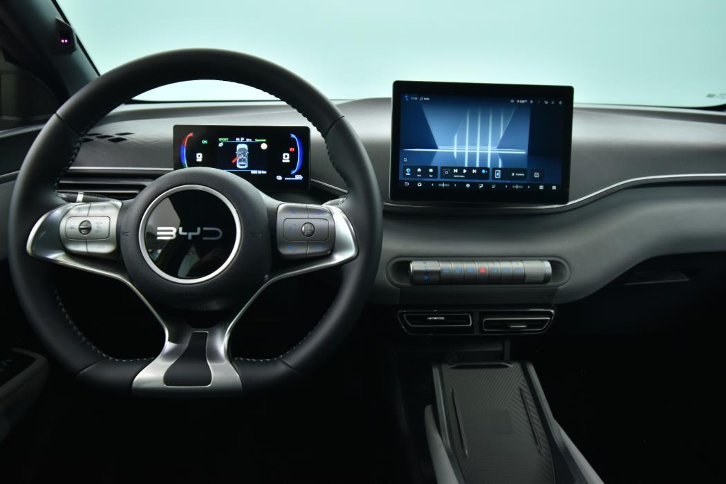BYD Dolphin Surf 2026