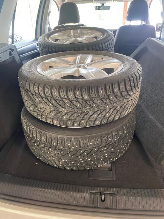 VOLKSWAGEN Golf Sportsvan 2019