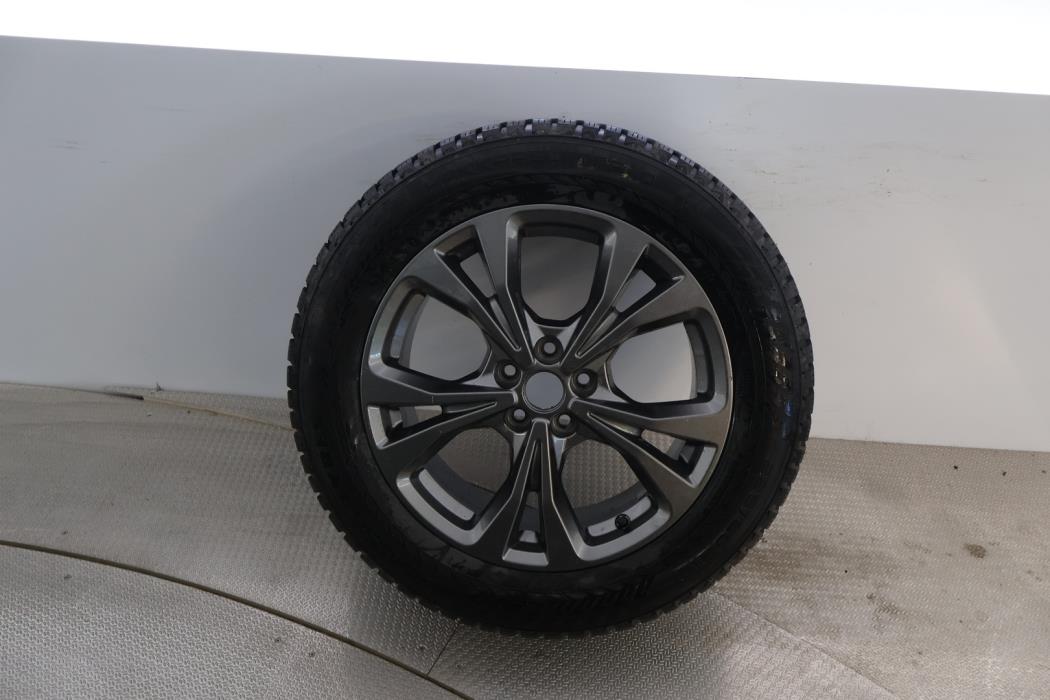 FORD Kuga 2024