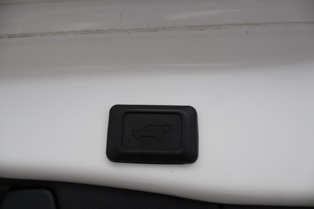 TOYOTA RAV4 Plug-in 2020