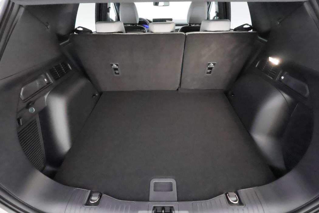 FORD Kuga 2026