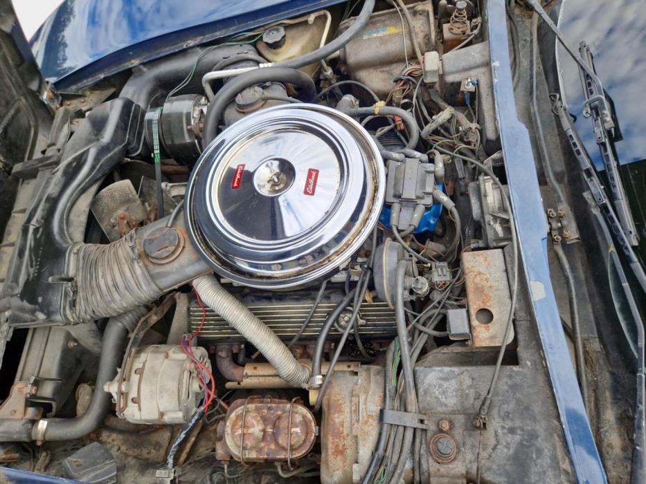 CHEVROLET Corvette 1981