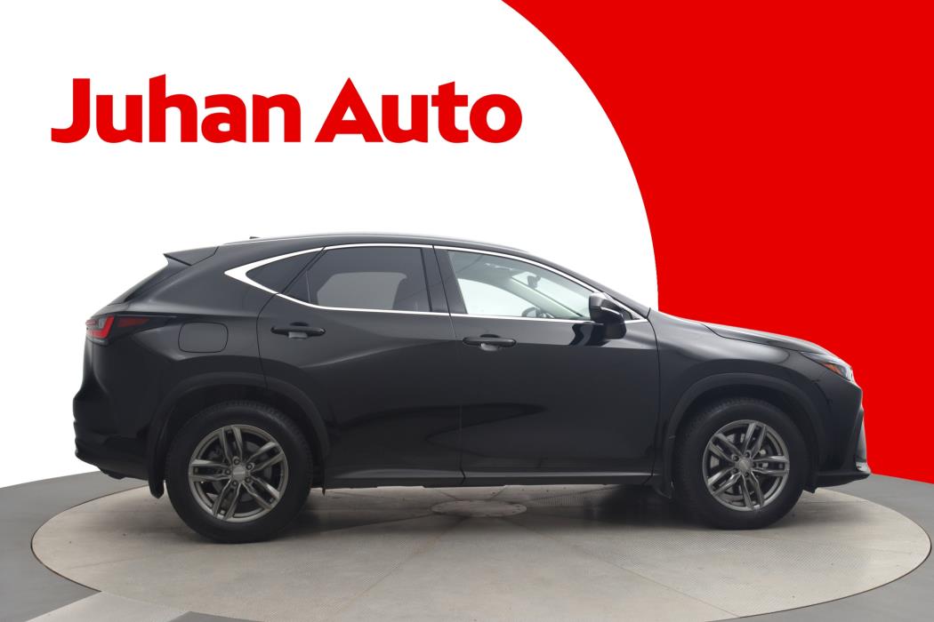 LEXUS NX 2023