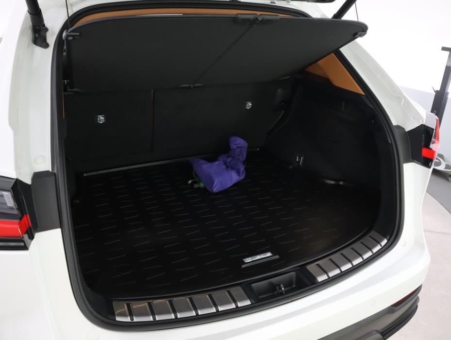 LEXUS NX 2025