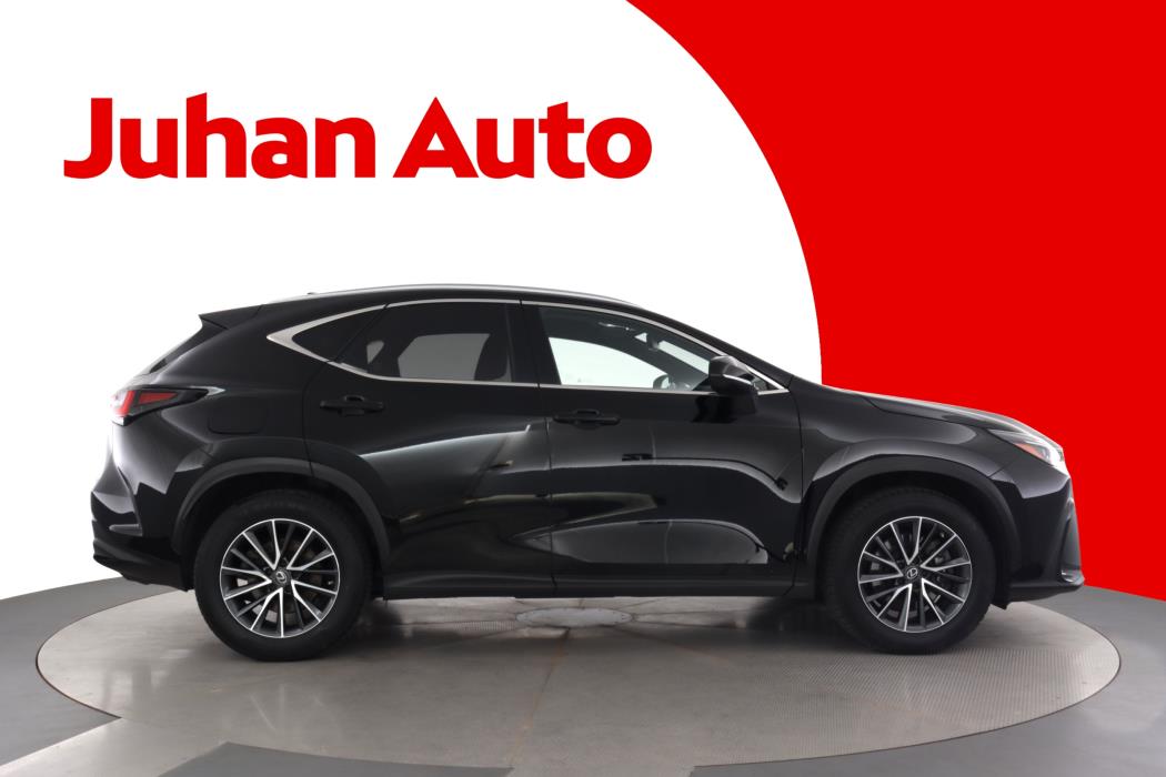LEXUS NX 2023