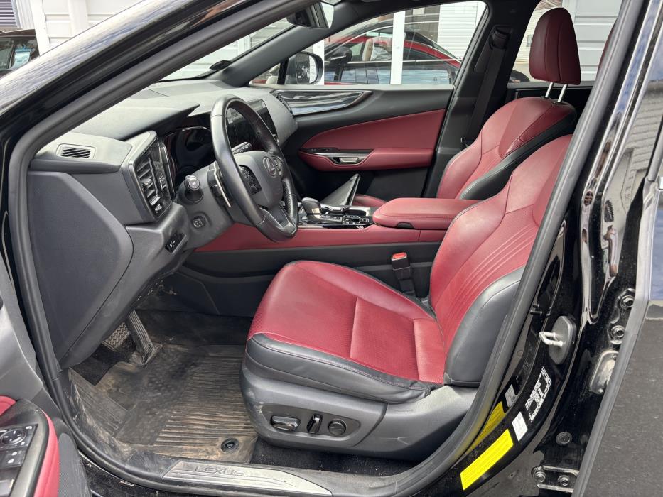 LEXUS NX 2023