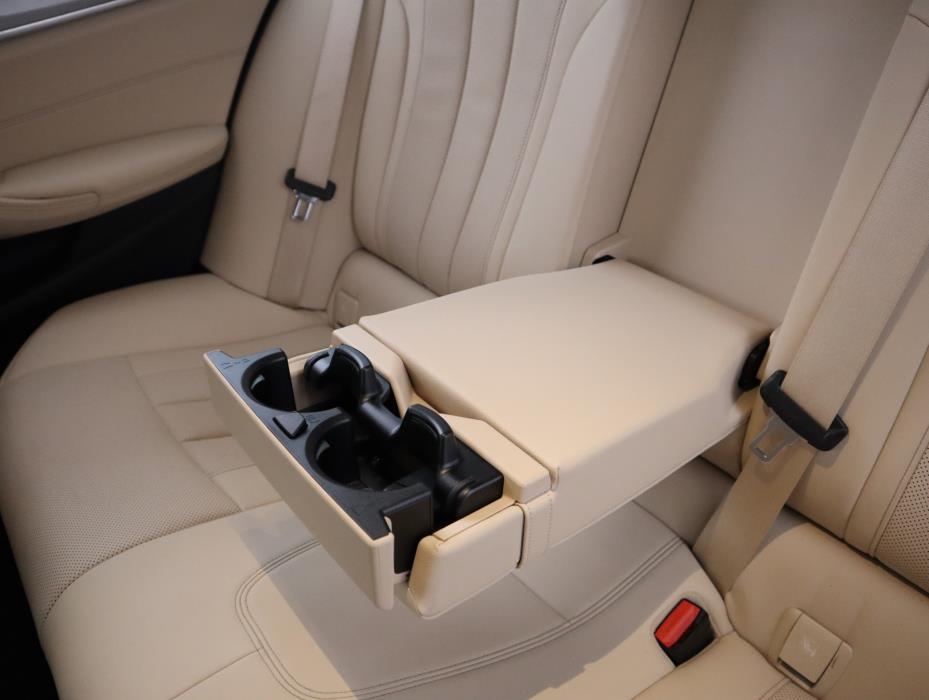 BMW 530 2021
