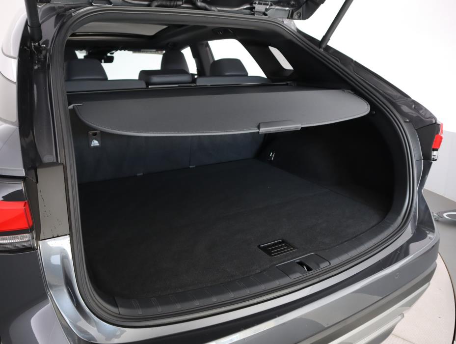 LEXUS RX 2024
