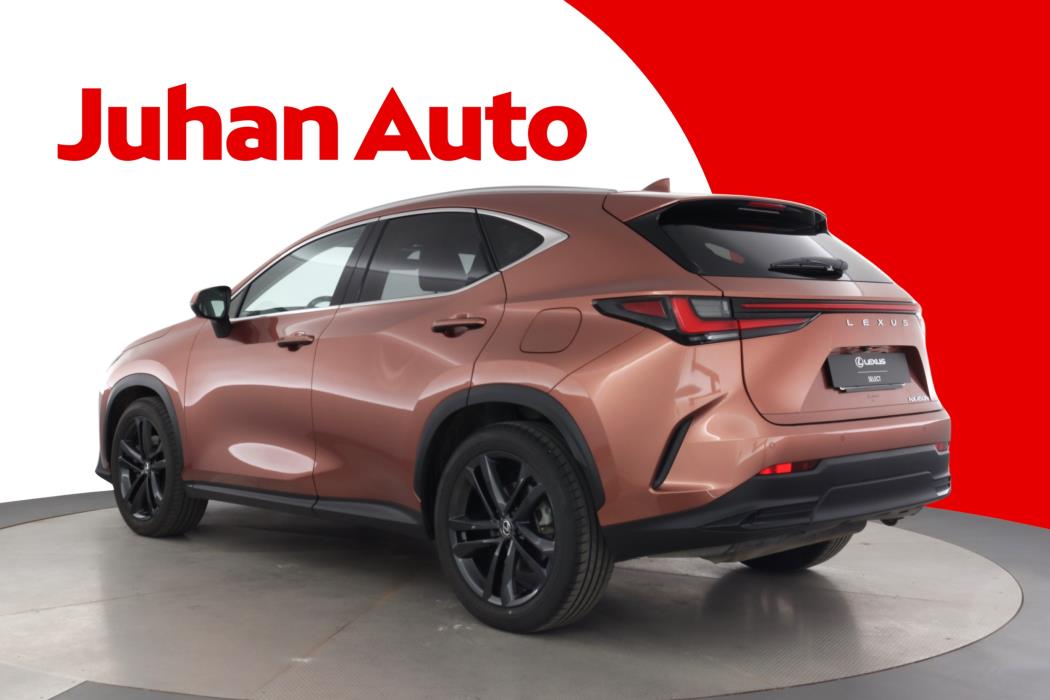 Lexus NX 2024