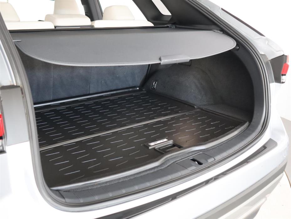 Lexus RX 2025