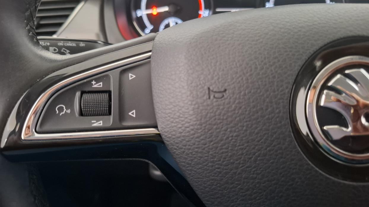 SKODA Rapid 2019