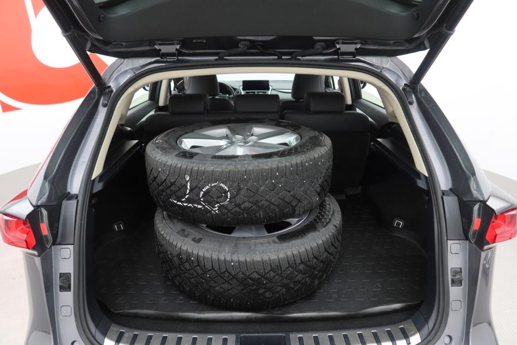 LEXUS NX 2019