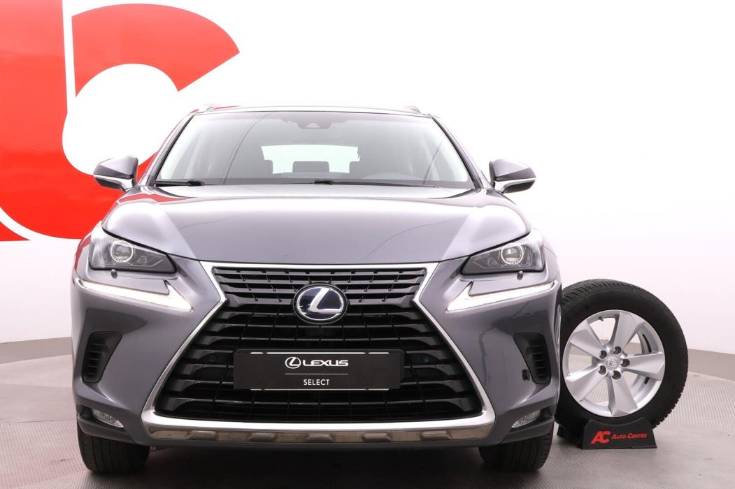 LEXUS NX 2019